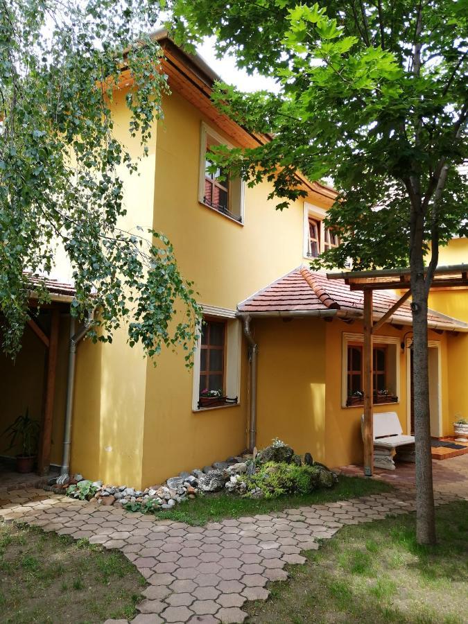 Bed and Breakfast Karpatia Panzio Esztergom Exterior foto